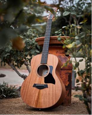 Taylor GS Mini